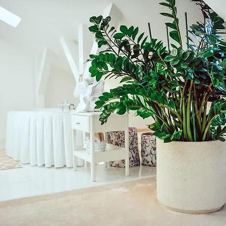 Harmony & Boutique 4*