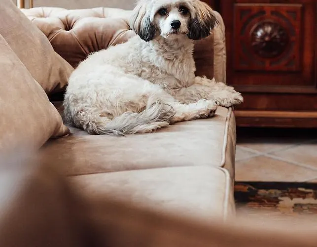 Harmony & Boutique Hotel Drawsko Pomorskie